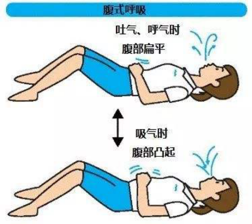 &#21326;&#20307;&#20250;&#104;&#116;&#104;