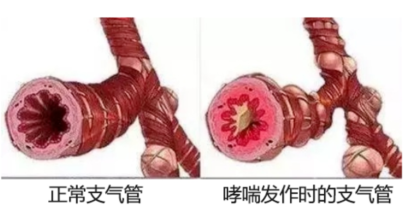 &#21326;&#20307;&#20250;&#104;&#116;&#104;