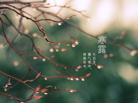 &#21326;&#20307;&#20250;&#104;&#116;&#104;