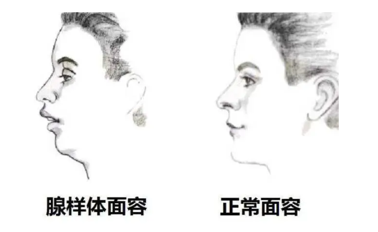 &#21326;&#20307;&#20250;&#104;&#116;&#104;