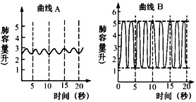 &#21326;&#20307;&#20250;&#104;&#116;&#104;