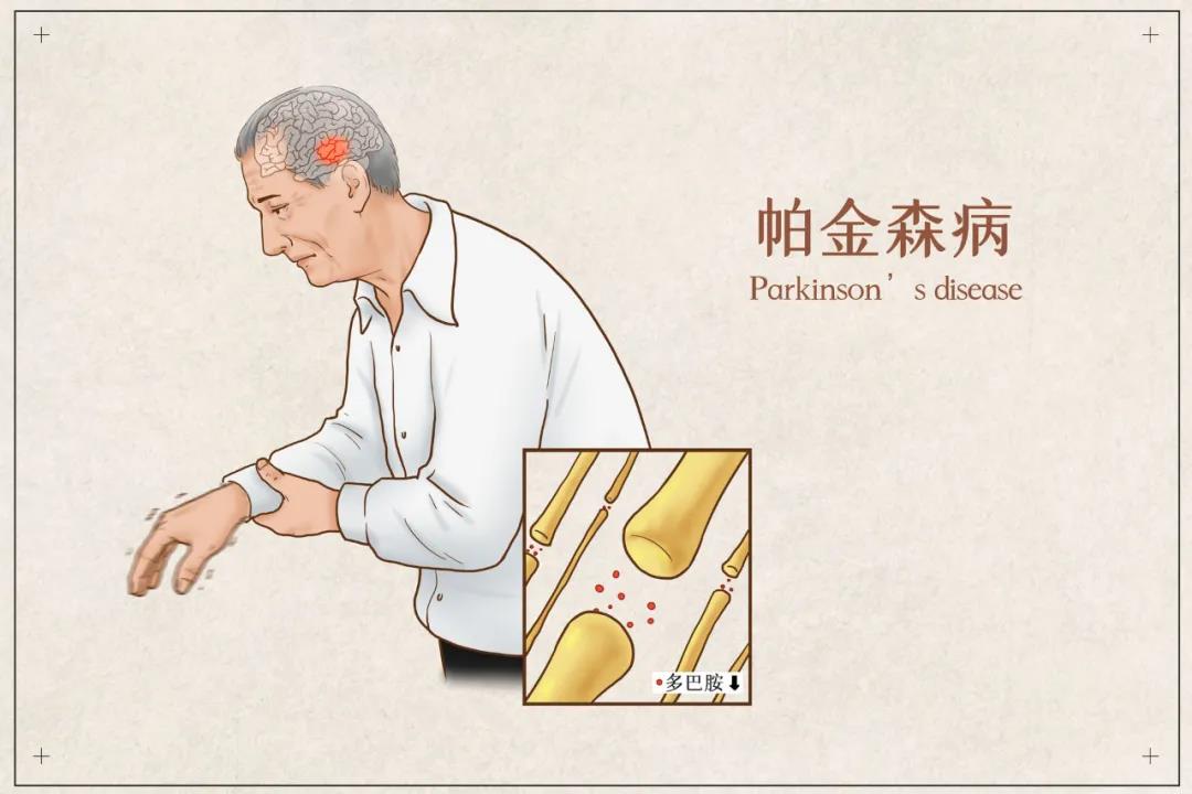 &#21326;&#20307;&#20250;&#104;&#116;&#104;