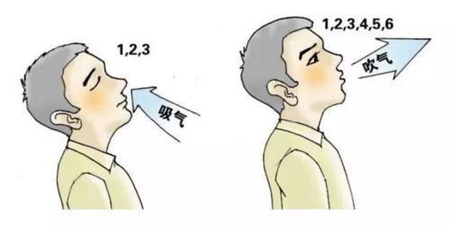&#21326;&#20307;&#20250;&#104;&#116;&#104;