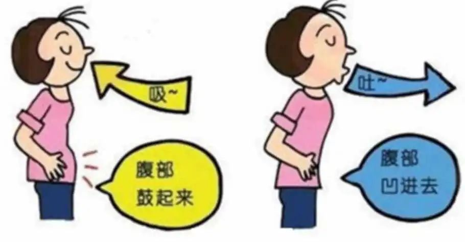 &#21326;&#20307;&#20250;&#104;&#116;&#104;