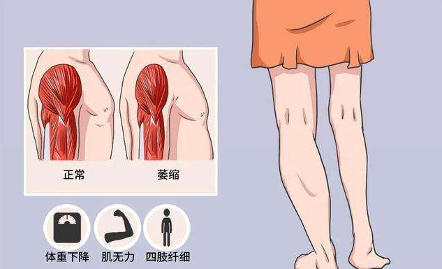 &#21326;&#20307;&#20250;&#104;&#116;&#104;