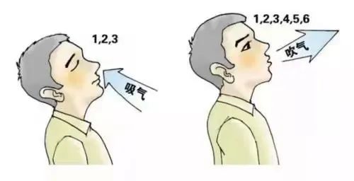 &#21326;&#20307;&#20250;&#104;&#116;&#104;