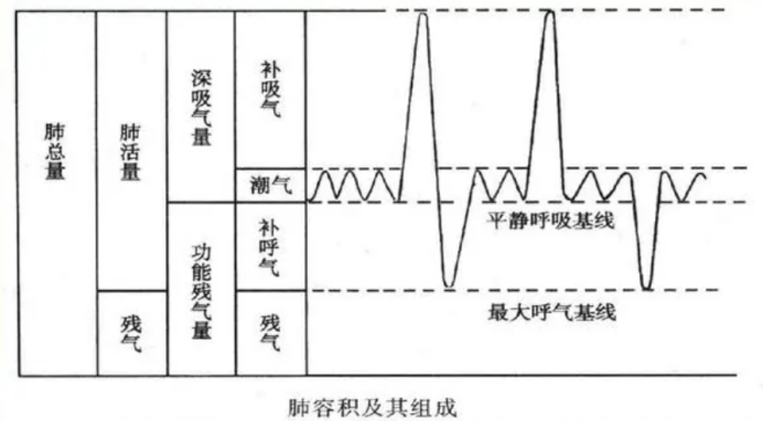 &#21326;&#20307;&#20250;&#104;&#116;&#104;