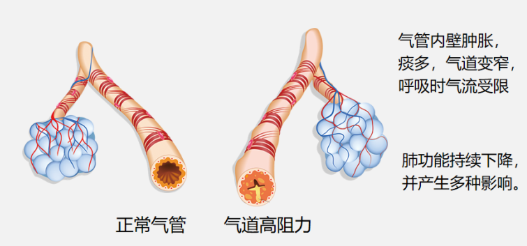 &#21326;&#20307;&#20250;&#104;&#116;&#104;