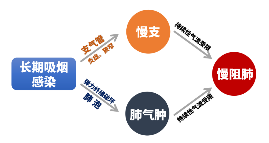 &#21326;&#20307;&#20250;&#104;&#116;&#104;