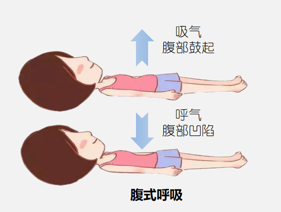 &#21326;&#20307;&#20250;&#104;&#116;&#104;
