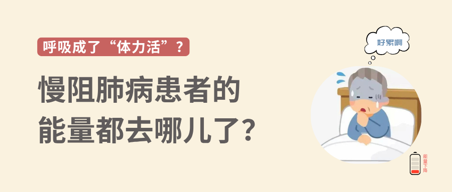 &#21326;&#20307;&#20250;&#104;&#116;&#104;