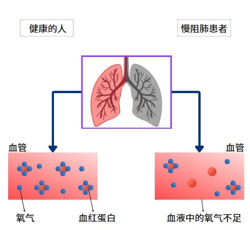 &#21326;&#20307;&#20250;&#104;&#116;&#104;